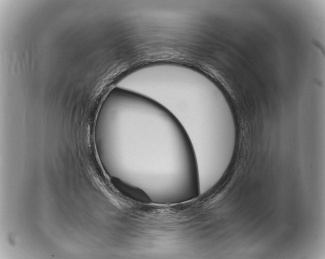 X0000100480589200806130734