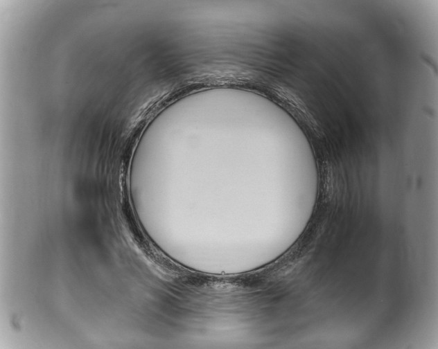 X0000100480590200806130734