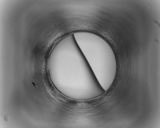 X0000100480591200806130734