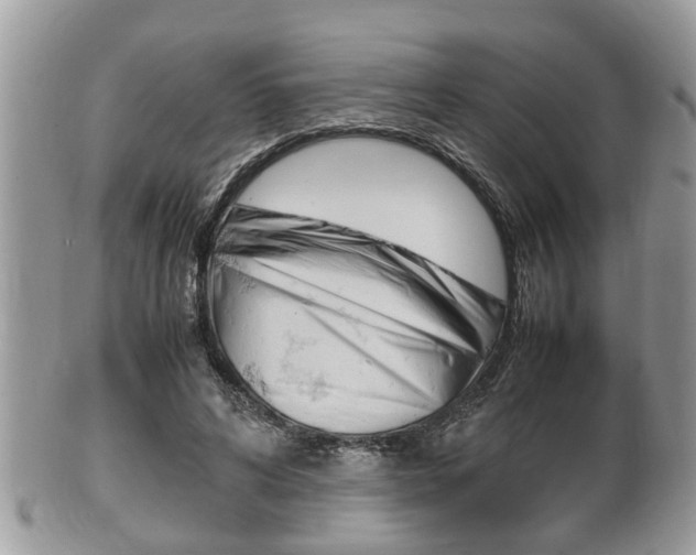 X0000100480592200806130734