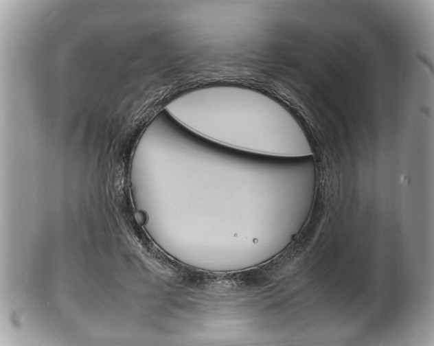 X0000100480593200806130734