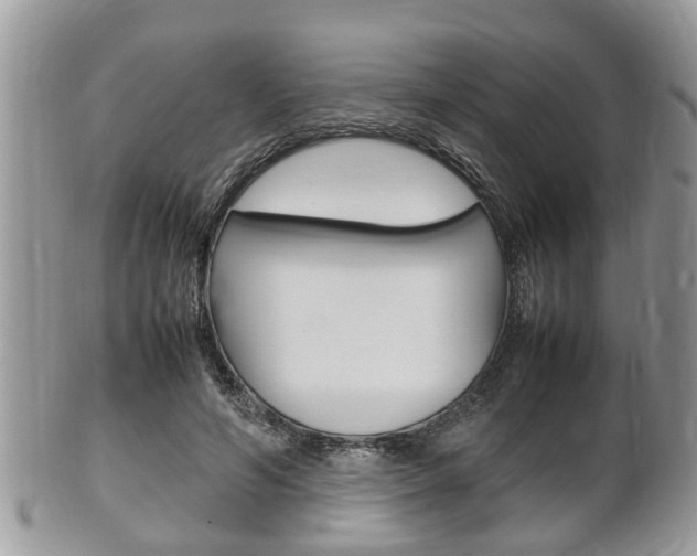 X0000100480594200806130734