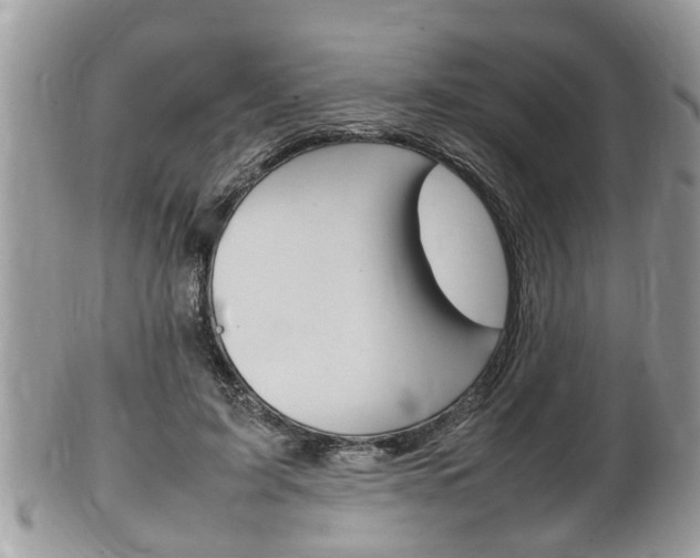 X0000100480595200806130734