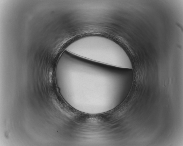 X0000100480596200806130734