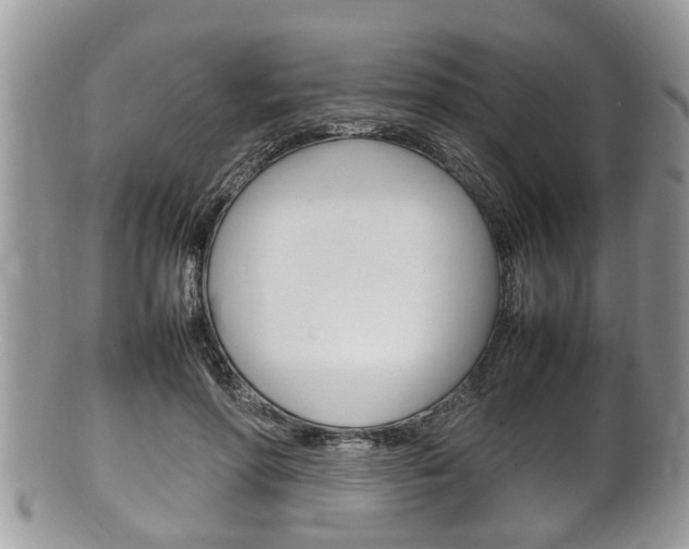 X0000100480598200806130734