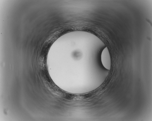 X0000100480599200806130734