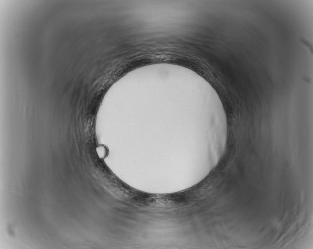 X0000100480601200806130734