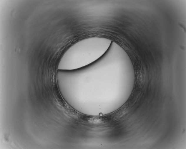 X0000100480602200806130734