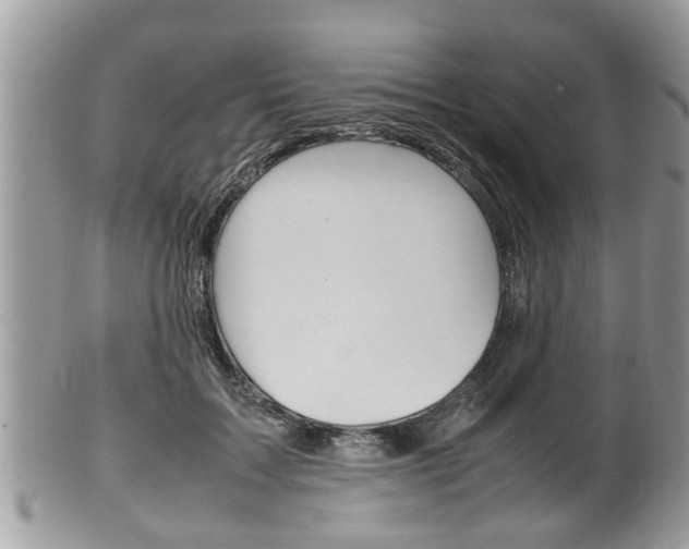 X0000100480603200806130734