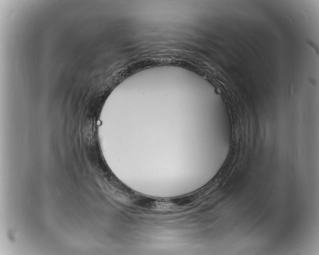X0000100480605200806130734