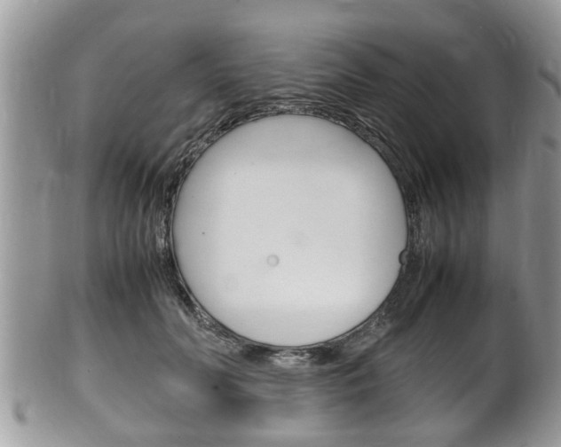 X0000100480606200806130734