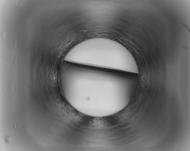 X0000100480608200806130734