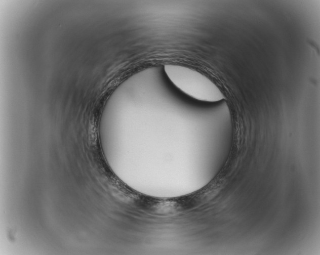 X0000100480609200806130734