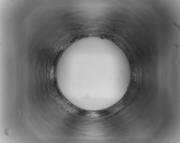 X0000100480610200806130734