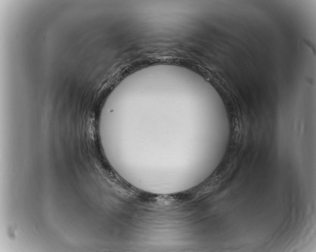 X0000100480612200806130734