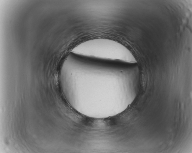 X0000100480613200806130734