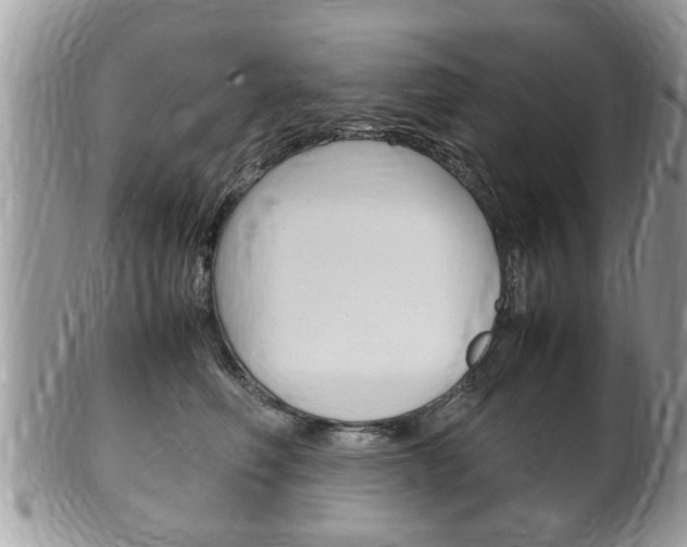 X0000100480614200806130734