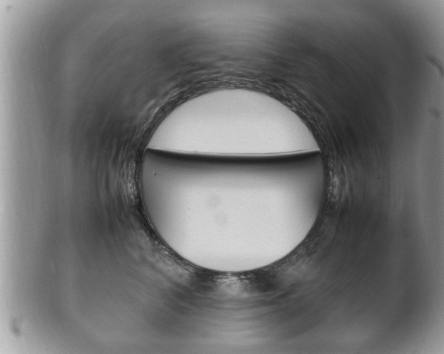 X0000100480616200806130734