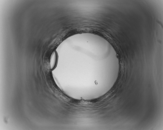 X0000100480617200806130734