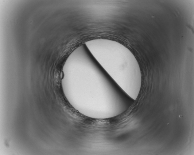 X0000100480619200806130734