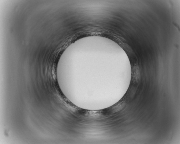X0000100480622200806130734