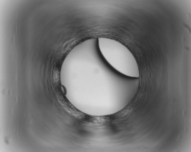 X0000100480623200806130734