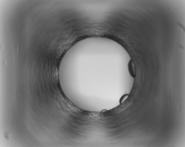 X0000100480624200806130734