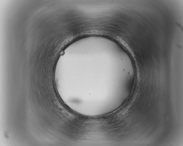 X0000100480625200806130733