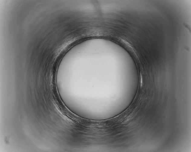 X0000100480627200806130733