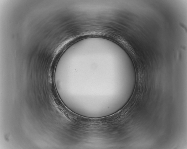 X0000100480628200806130733