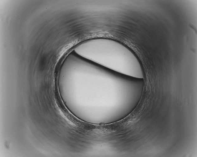 X0000100480630200806130733