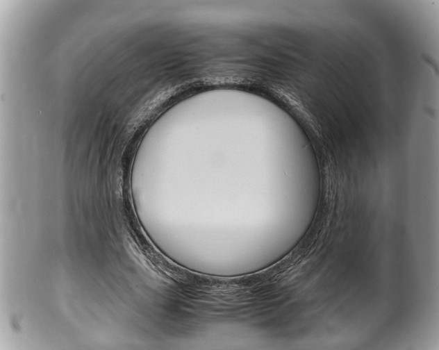 X0000100480631200806130733