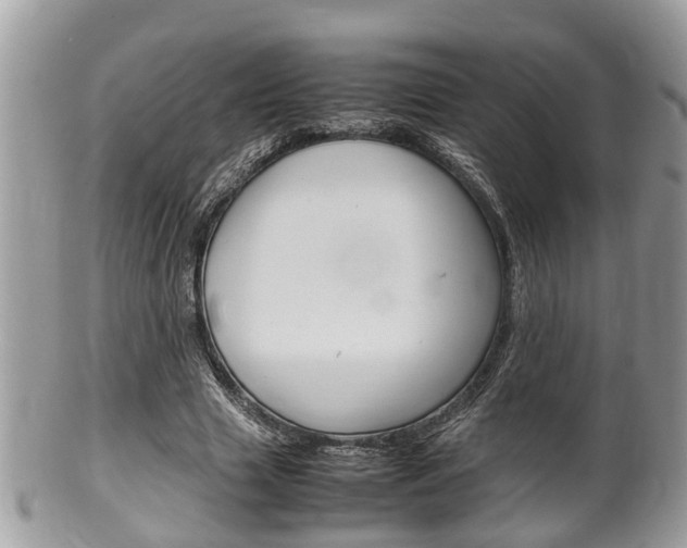 X0000100480633200806130733