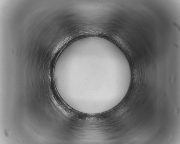 X0000100480634200806130733