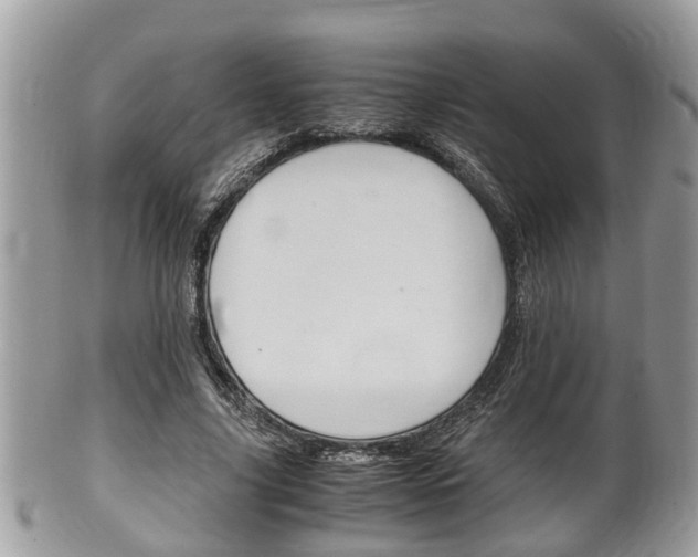X0000100480635200806130733