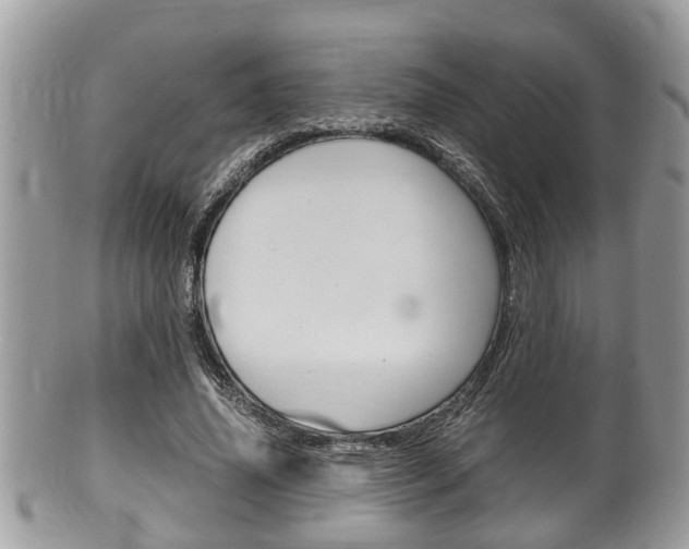 X0000100480636200806130733