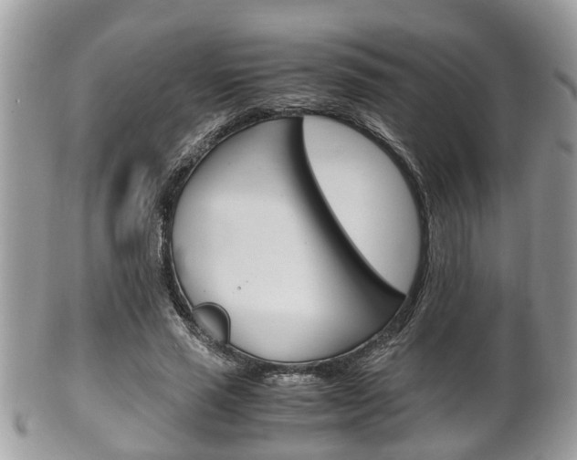 X0000100480637200806130733