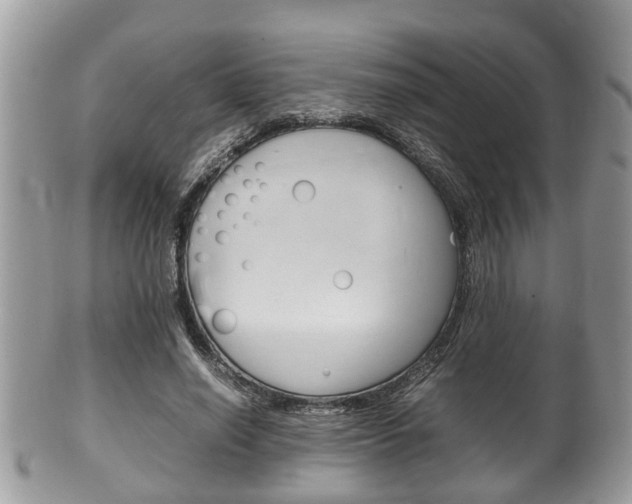 X0000100480638200806130733