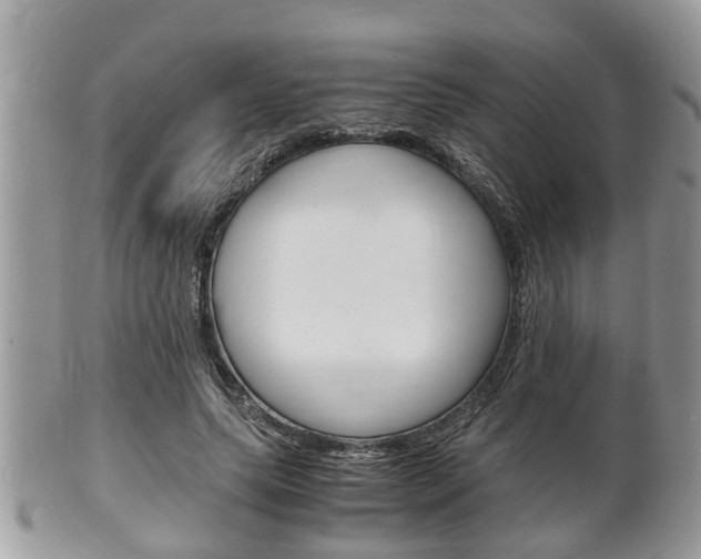 X0000100480639200806130733