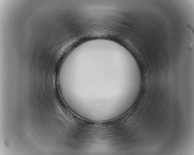 X0000100480640200806130733