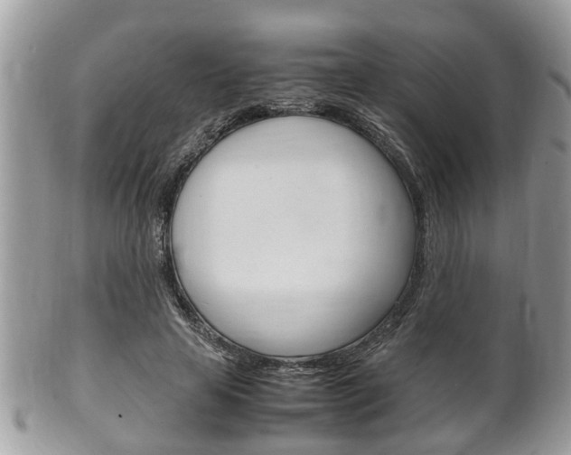 X0000100480641200806130733