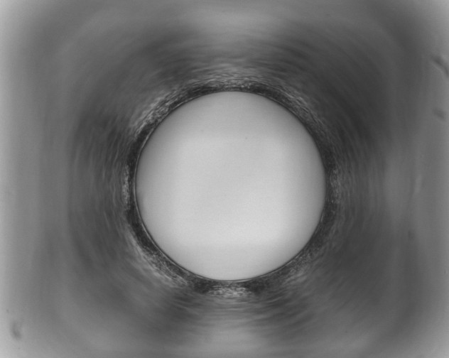 X0000100480642200806130733