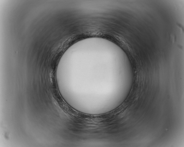 X0000100480643200806130733