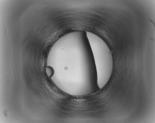 X0000100480645200806130733