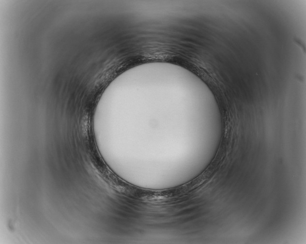 X0000100480647200806130733