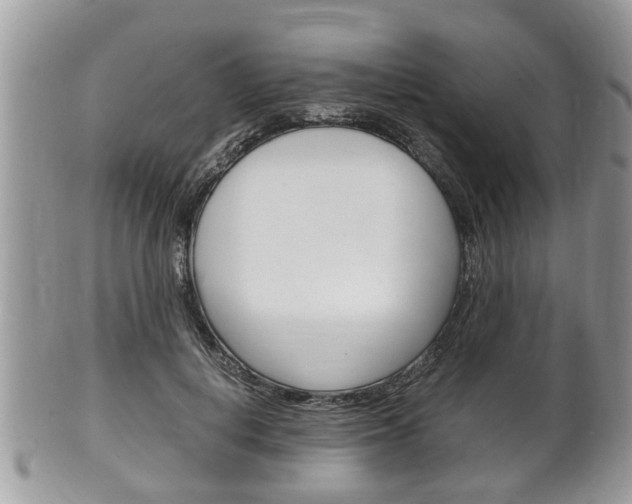 X0000100480648200806130733