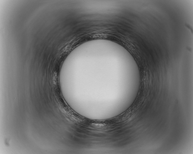 X0000100480649200806130733