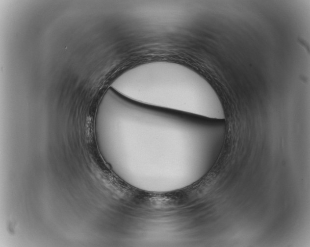 X0000100480650200806130733