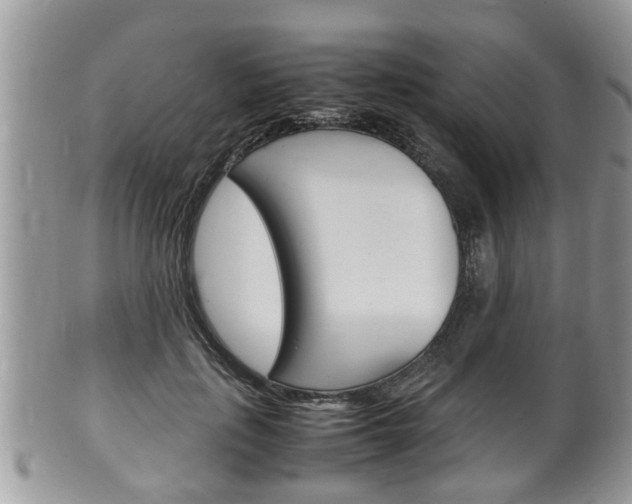 X0000100480651200806130733