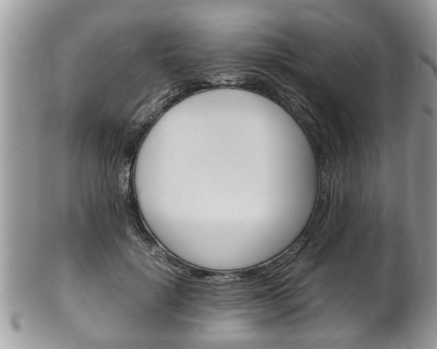 X0000100480652200806130733